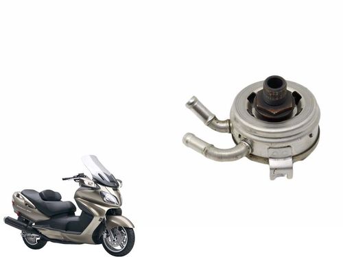 Resfriador Óleo Suzuki Burgman 650 10-15 Usad