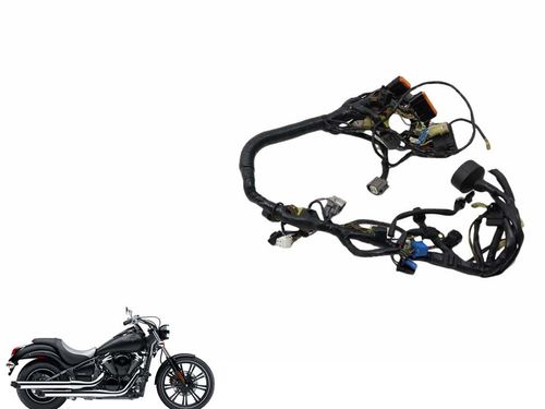 Chicote Principal Kawasaki Vulcan 900 09-14 Usad