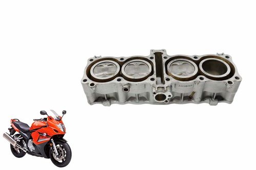Cilindro Com Pistão e Anéis Suzuki Gsx 650 F 09-10 Usad