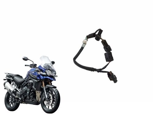 Chicote Motor Triumph Tiger 1200 Explorer 12-15 Usad