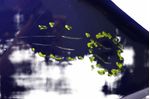 image-16da17a0bca942b7a8c58136b24a3eb7