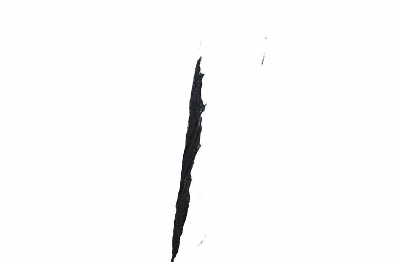 image-1b7aeeaa2506425690b2c5cefaa413ab