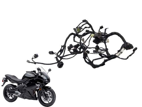 Chicote Principal Kawasaki Ninja 650 R 11-13 Usad