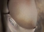 image-c470dd7e3bda41f58db4a5100bed1336