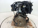 image-da8cfa9584d44add8618f06ad1166c22