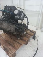 image-984545b45b3346968f5ec09d75ab0d79
