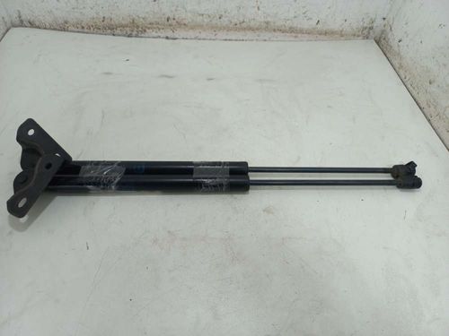 AMORTECEDOR DA TAMPA TRASEIRA FIAT FREEMONT 2.4 2012