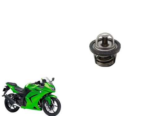 Válvula Termostática Kawasaki Ninja 250 R 08-12 Usad