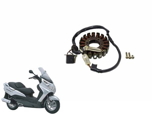 Estator Suzuki Burgman 125 07-07 Usad