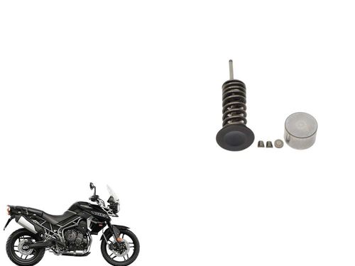 Kit Válvula Admissão Tiger 800 Tiger800 16-20