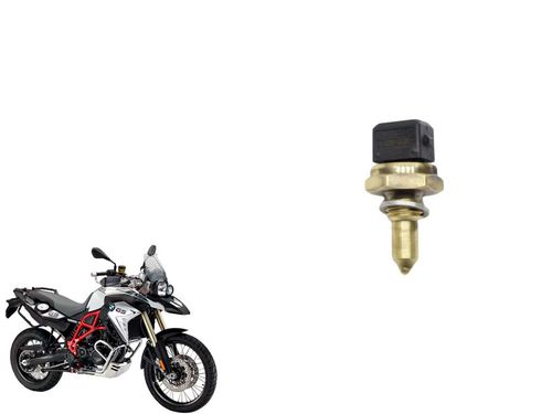 Sensor Temperatura F 800 Gs F800gs 09-18