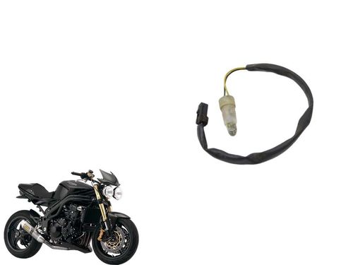 Chicote Luz Placa Triumph Speed Triple 1050 12-15