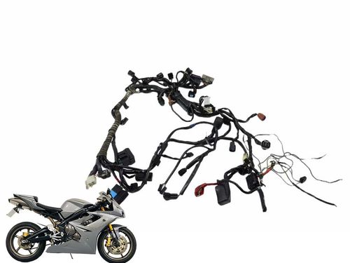 Chicote Principal Triumph Daytona 675 06-10 Usad