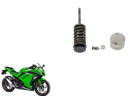Kit Válvula Escape Kawasaki Ninja 300 Ninja300 13-18