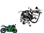 image-cc7a5054c9494e769d70e969376c50f7