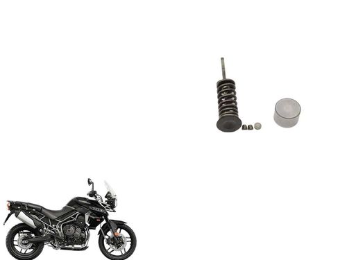 Kit Válvula Escape Tiger 800 Tiger800 16-20