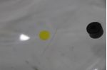 image-99970afeeb904a5d9e40b973f5614717
