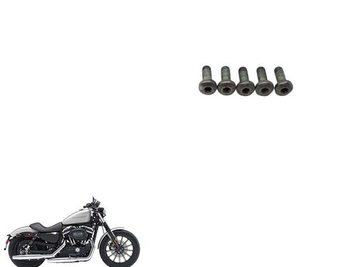 Parafuso Disco Freio Traseiro Harley-davidson Iron 883 08-12