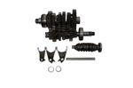 image-acd1aed454da477989851cc584a632aa