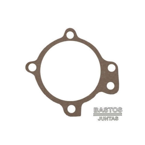 JUNTA DA BOMBA DE AGUA - TP CARC GM CHEVROLET BRASIL C10 261