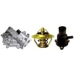 image-4d8e14aed4614fc9aeb3555de973518d