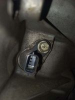 image-b2d337e8c6ca4201980257953cc98d21