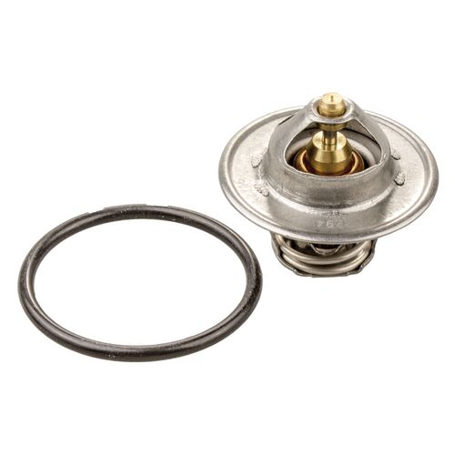 Válvula Termostática Vw Polo 2002 a 2013 - 147630 - 229487