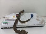 image-326bbb29d7ca418cb75cd0c0652c1877