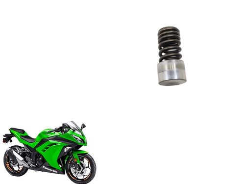 Kit Mola Com Trava (válvulas Escape) Kawasaki Ninja 300 13-18