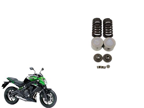 Mola Válvula Kawasaki Er-6n Er6n 13-17