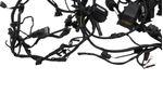 image-ed49d818b74a43de82cc76cc444e654a