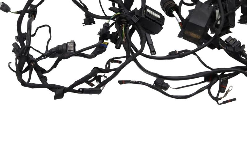 image-ed49d818b74a43de82cc76cc444e654a