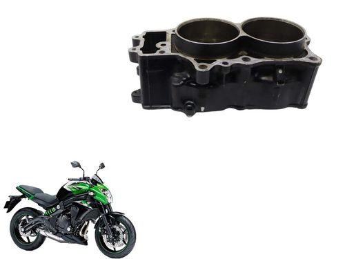 Cilindro Com Pistão e Anéis Kawasaki Er-6n Er6n 13-17