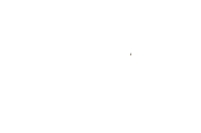 image-ca51a8de1aa64d5ebe62fe2d8078698c