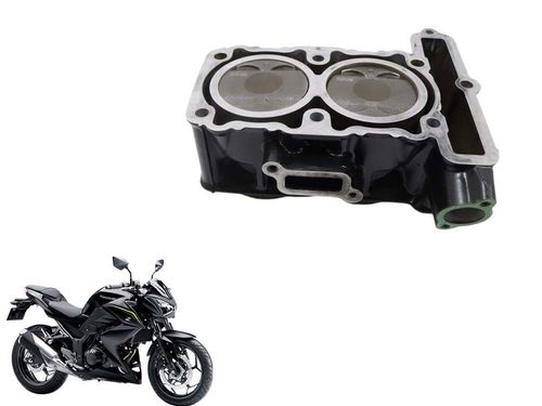 Cilindro Com Pistão e Anéis Kawasaki Z 300 Z300 15-16