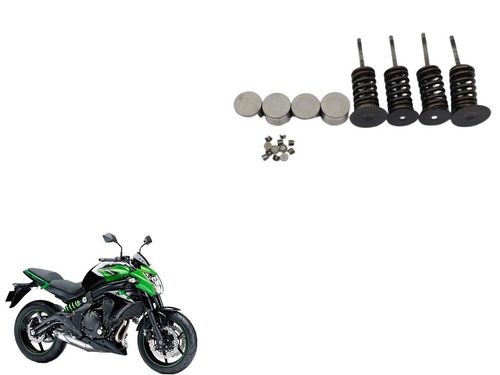 Kit Válvula Admissão/escape Kawasaki Er-6n Er6n 08-17