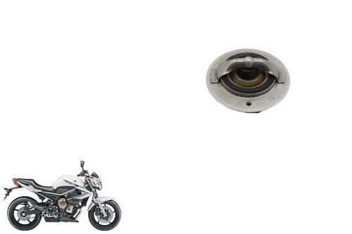 Válvula Termostática Yamaha Xj6 10-19
