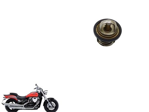 Válvula Termostática Suzuki Boulevard M800 09-12