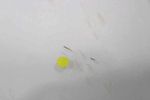 image-f2cddc94c76343cc9ec06c23200d28a5