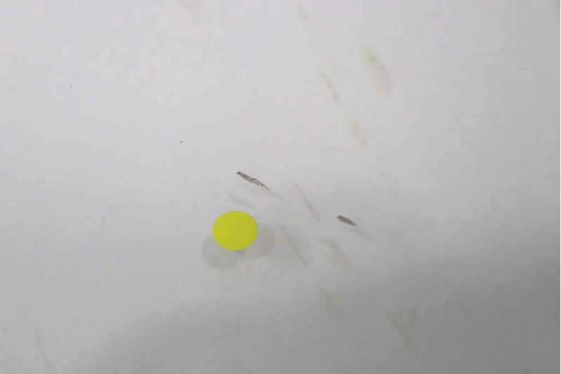 image-f2cddc94c76343cc9ec06c23200d28a5