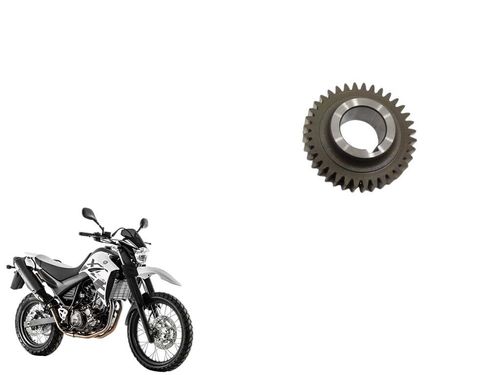 Engrenagem Campana Yamaha Xt 660 09-18