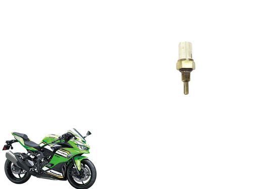 Sensor Temperatura Zx 4  2024 2025