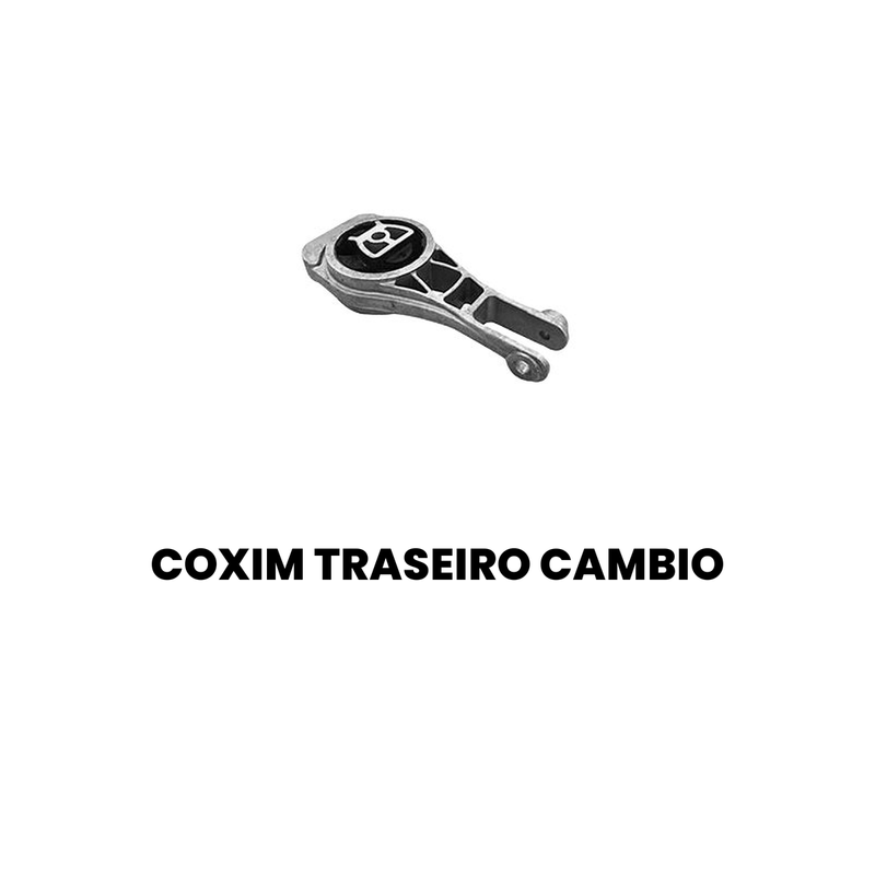 image-cd6233d9b3434545b287feaeaf024973