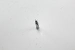 image-40c8b21d103f433684a8c77e733a4cb7