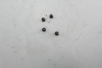 image-b41ce4d2b4464a829f9eb552d809740d