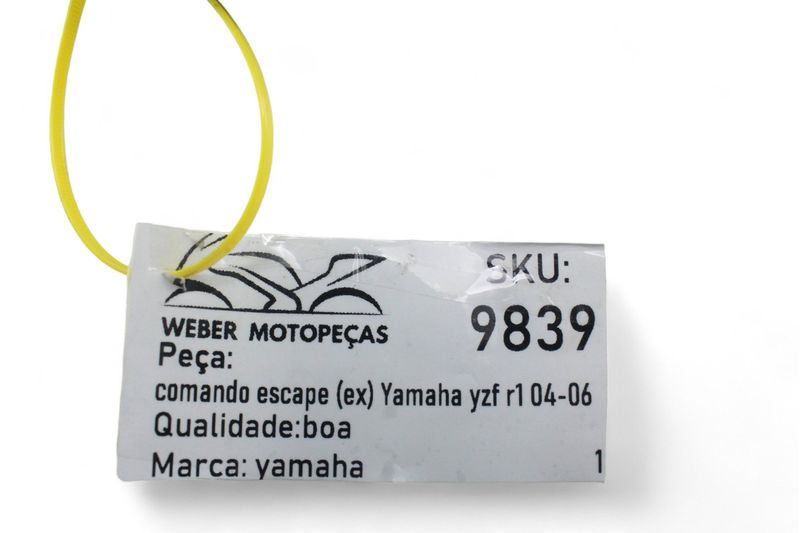 image-73410fe32ff847ee98a81e11c3329889