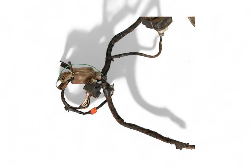 image-ff80846e16bd491194189ffe4bc2dfca