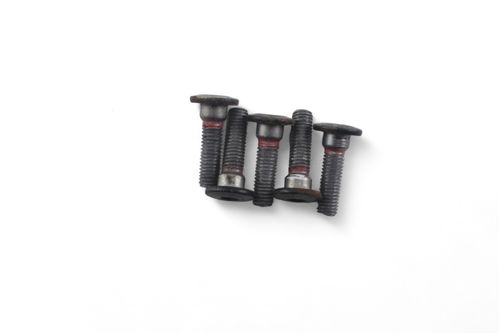 Kit Parafuso Disco Freio Dianteiro Kawasaki Ninja 300 13-18