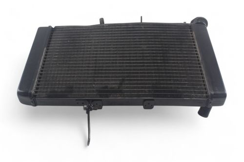 Radiador Avaria Triumph Tiger 800 13-15