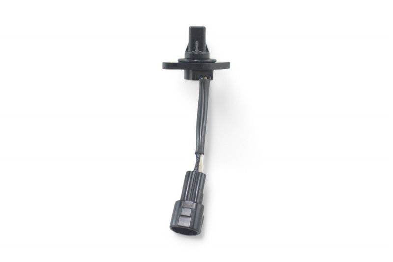 image-fe3cfefb7b9849fabb2a29ddd3cbedae